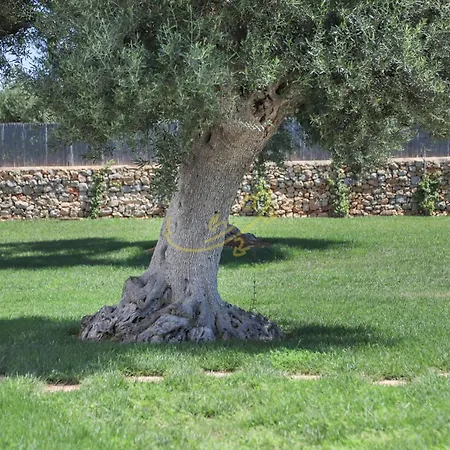 Td Patrizia Pool & Alfresco Kitchen Monopoli